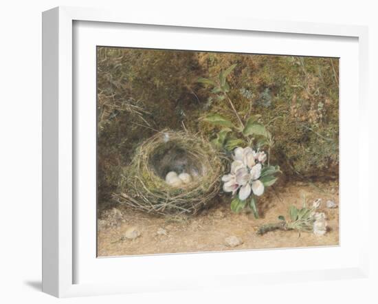 Bird's Nest with Sprays of Apple Blossoms-William Henry Hunt-Framed Giclee Print