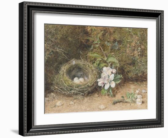 Bird's Nest with Sprays of Apple Blossoms-William Henry Hunt-Framed Giclee Print