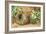 Bird's Nest with Three Blue Eggs and Primroses-William Henry Hunt-Framed Giclee Print