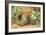 Bird's Nest with Three Blue Eggs and Primroses-William Henry Hunt-Framed Giclee Print