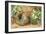 Bird's Nest with Three Blue Eggs and Primroses-William Henry Hunt-Framed Giclee Print