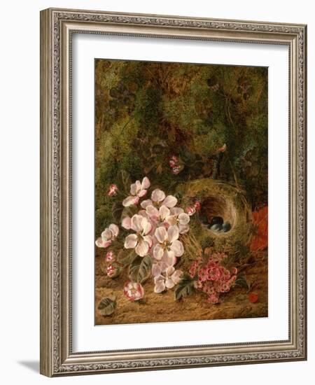 Bird's Nest-Oliver Clare-Framed Giclee Print