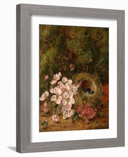 Bird's Nest-Oliver Clare-Framed Giclee Print