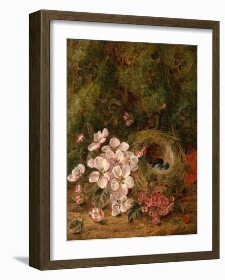 Bird's Nest-Oliver Clare-Framed Giclee Print