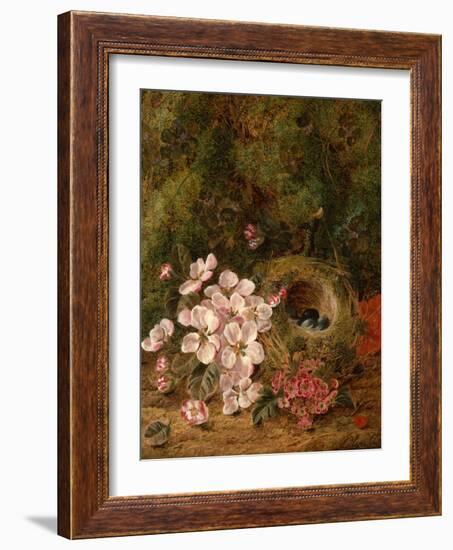 Bird's Nest-Oliver Clare-Framed Giclee Print