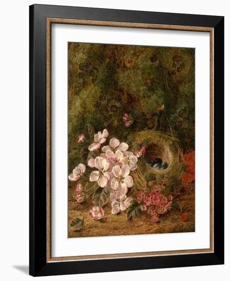 Bird's Nest-Oliver Clare-Framed Giclee Print