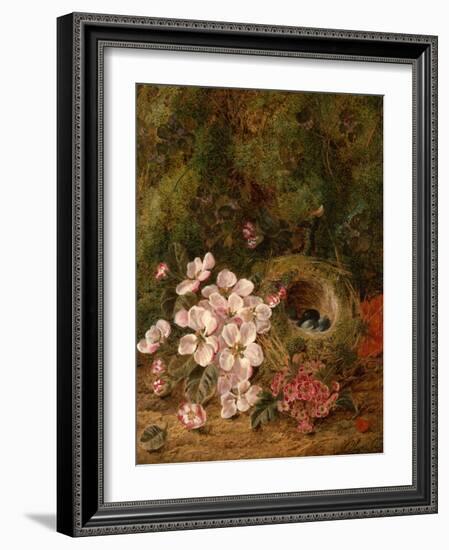 Bird's Nest-Oliver Clare-Framed Giclee Print