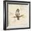 Bird Scene II-Lanie Loreth-Framed Art Print