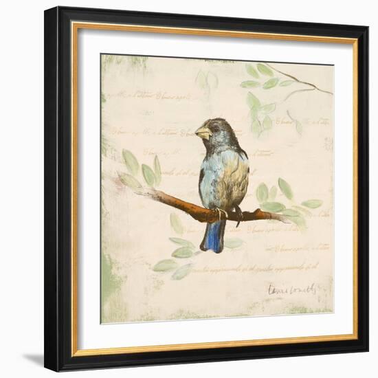 Bird Scene II-Lanie Loreth-Framed Art Print