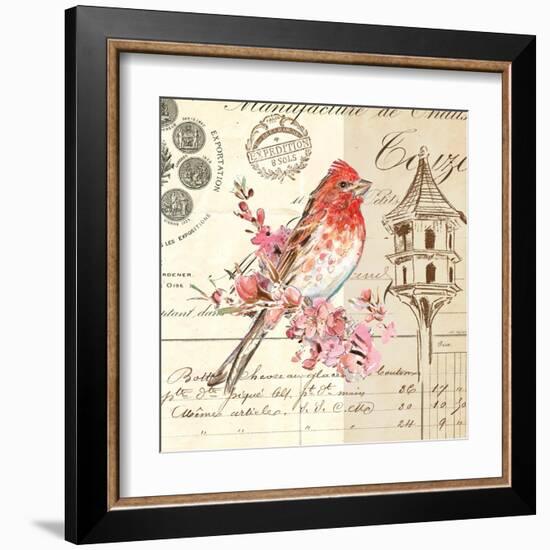 Bird Sketch 1-Chad Barrett-Framed Art Print