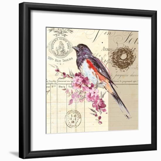 Bird Sketch 3-Chad Barrett-Framed Art Print