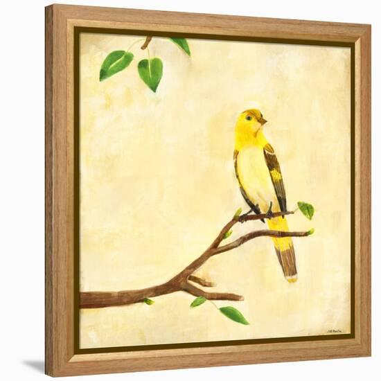 Bird Song I-Jill Martin-Framed Stretched Canvas