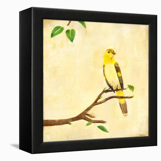 Bird Song I-Jill Martin-Framed Stretched Canvas