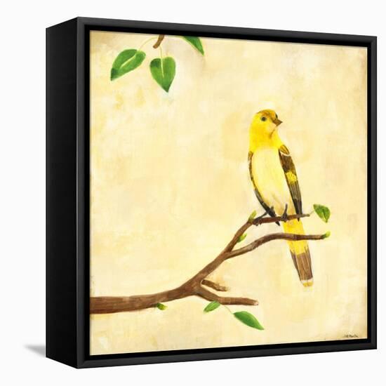 Bird Song I-Jill Martin-Framed Stretched Canvas