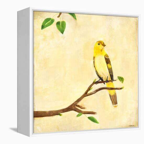 Bird Song I-Jill Martin-Framed Stretched Canvas