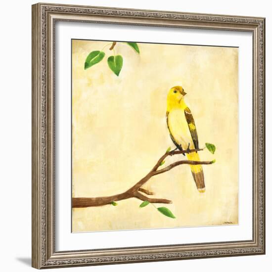 Bird Song I-Jill Martin-Framed Art Print