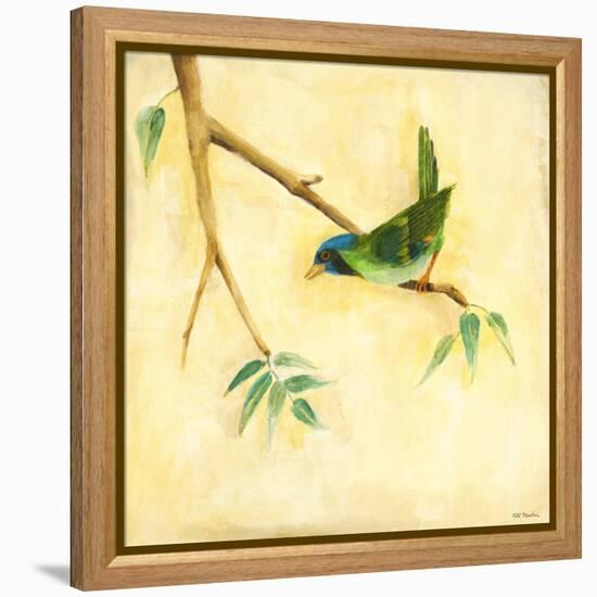 Bird Song III-Jill Martin-Framed Stretched Canvas