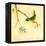 Bird Song III-Jill Martin-Framed Stretched Canvas