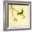 Bird Song III-Jill Martin-Framed Premium Giclee Print