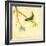 Bird Song III-Jill Martin-Framed Premium Giclee Print