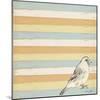 Bird Stripes-Tammy Kushnir-Mounted Giclee Print