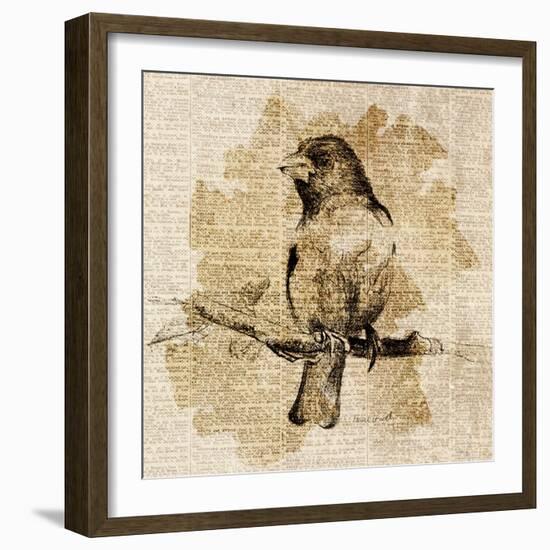 Bird Study IV-Lanie Loreth-Framed Art Print