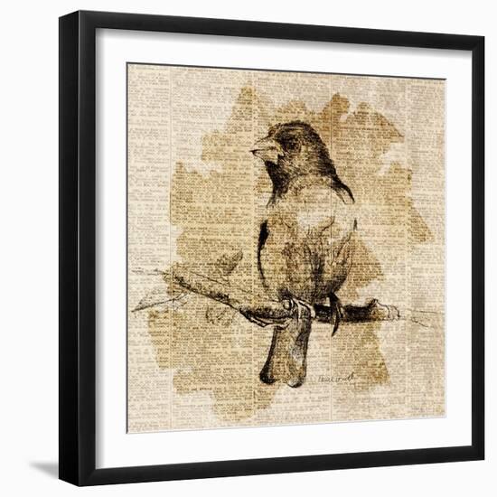 Bird Study IV-Lanie Loreth-Framed Art Print