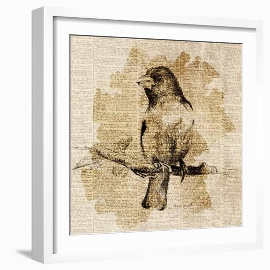 Bird Study IV-Lanie Loreth-Framed Art Print