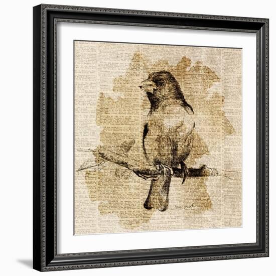 Bird Study IV-Lanie Loreth-Framed Art Print