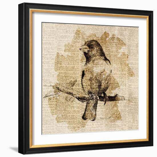 Bird Study IV-Lanie Loreth-Framed Art Print