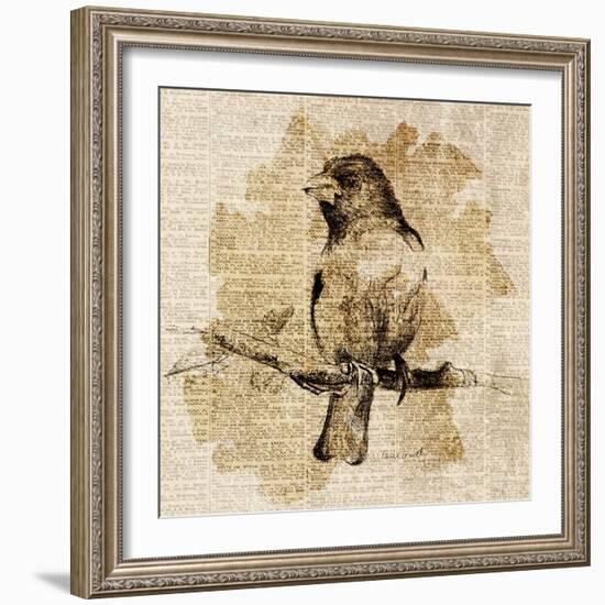 Bird Study IV-Lanie Loreth-Framed Premium Giclee Print