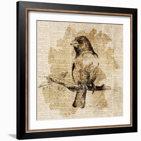 Bird Study IV-Lanie Loreth-Framed Premium Giclee Print