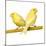 Bird Two Canaries on Perch-null-Mounted Photographic Print