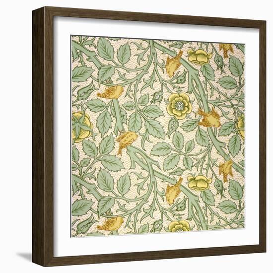 Bird Wallpaper Design (Colour Woodblock Print on Paper)-William Morris-Framed Giclee Print