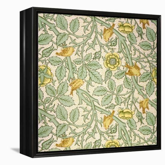 Bird Wallpaper Design (Colour Woodblock Print on Paper)-William Morris-Framed Premier Image Canvas