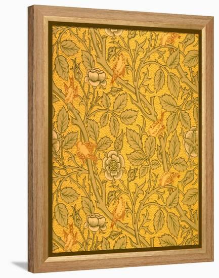 Bird Wallpaper Design (Colour Woodblock Print on Paper)-William Morris-Framed Premier Image Canvas