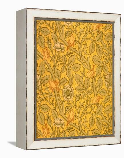 Bird Wallpaper Design (Colour Woodblock Print on Paper)-William Morris-Framed Premier Image Canvas