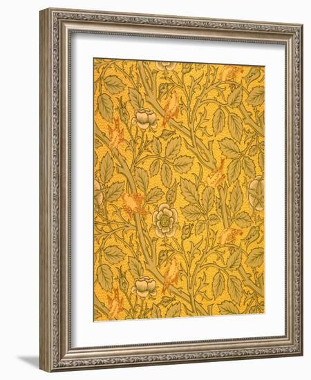 Bird Wallpaper Design (Colour Woodblock Print on Paper)-William Morris-Framed Giclee Print