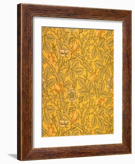 Bird Wallpaper Design (Colour Woodblock Print on Paper)-William Morris-Framed Giclee Print