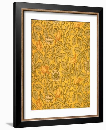 Bird Wallpaper Design (Colour Woodblock Print on Paper)-William Morris-Framed Giclee Print