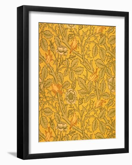 Bird Wallpaper Design (Colour Woodblock Print on Paper)-William Morris-Framed Giclee Print