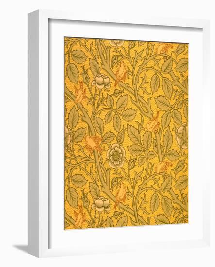 Bird Wallpaper Design (Colour Woodblock Print on Paper)-William Morris-Framed Giclee Print