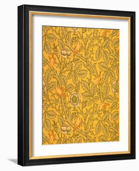 Bird Wallpaper Design (Colour Woodblock Print on Paper)-William Morris-Framed Giclee Print