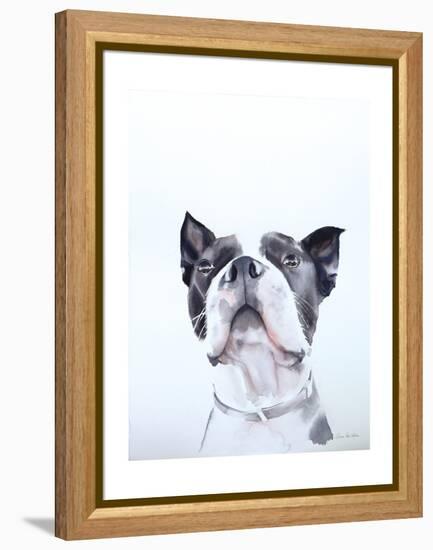 Bird Watching-Aimee Del Valle-Framed Stretched Canvas