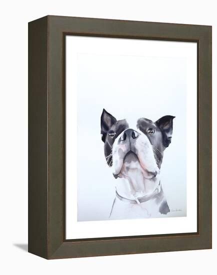 Bird Watching-Aimee Del Valle-Framed Stretched Canvas