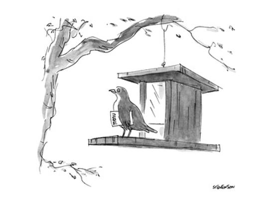 Bird With Menu Under Its Wing On A Bird Feeder New Yorker