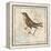 Bird Woodcut II-Elizabeth Medley-Framed Stretched Canvas