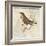 Bird Woodcut II-Elizabeth Medley-Framed Art Print