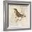 Bird Woodcut II-Elizabeth Medley-Framed Art Print