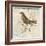 Bird Woodcut II-Elizabeth Medley-Framed Art Print